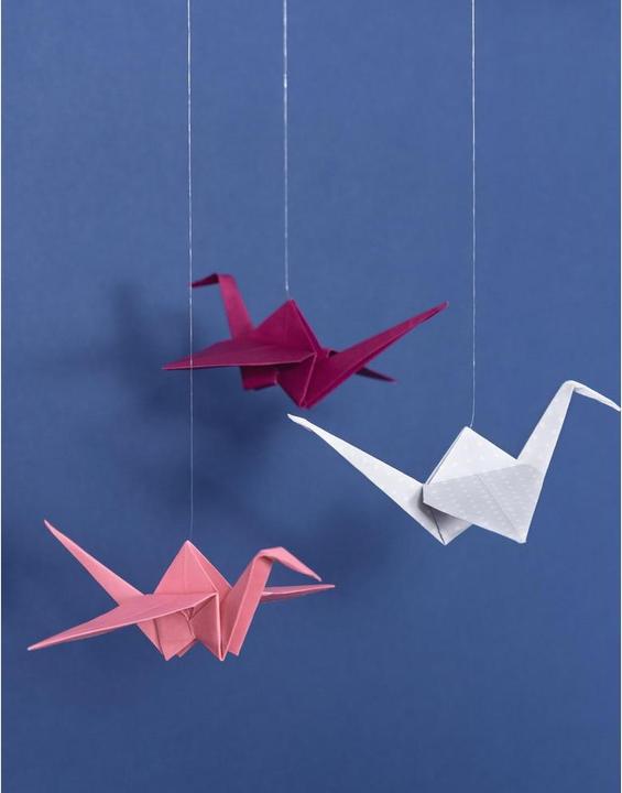 Actual product image Folia Nylon thread