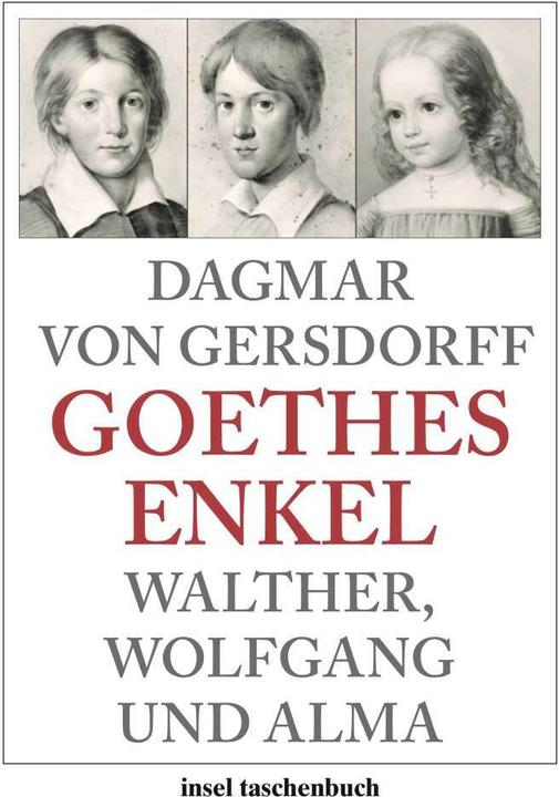 Image du produit Goethes Enkel (Allemand, Dagmar von Gersdorff, 2011)