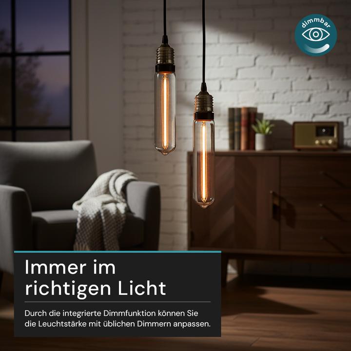 Immagine prodotto Luxula Lampada a filamento LED, Tube Line Smoke, E27, 2W, 40lm, 1800K (E27, 40 lm, 1 x)