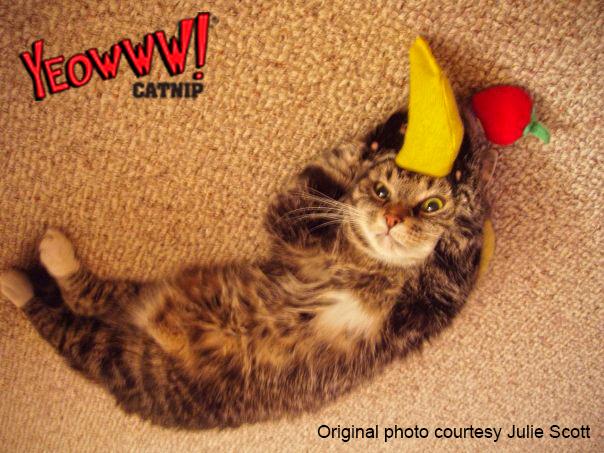 Actual product image Yeowww Banana 18cm filled with catnip (Catmint toy)