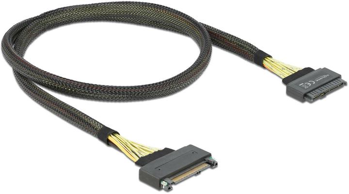 Image du produit Delock Câble SAS SF-8639 - Extension SFF-8639, 1m (100 cm, U.2)