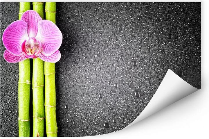 Immagine prodotto Trenddeko Orchidea e bambù (45 x 30 cm)