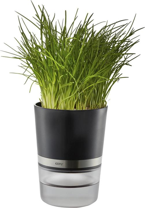 Image du produit GEFU Botanico (14.20 cm)