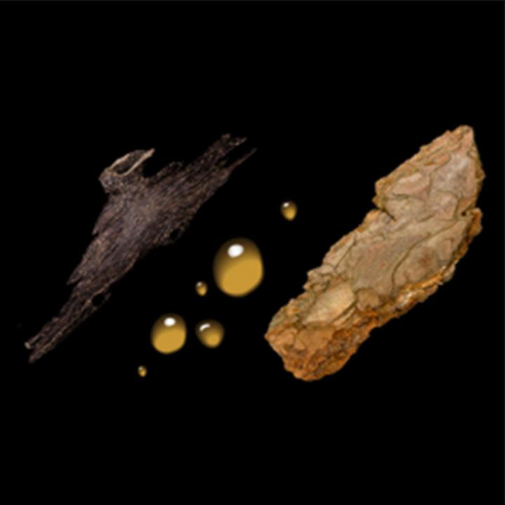 Actual product image Sebastian Dark Oil Silkening Fragrance Mist (200 ml)