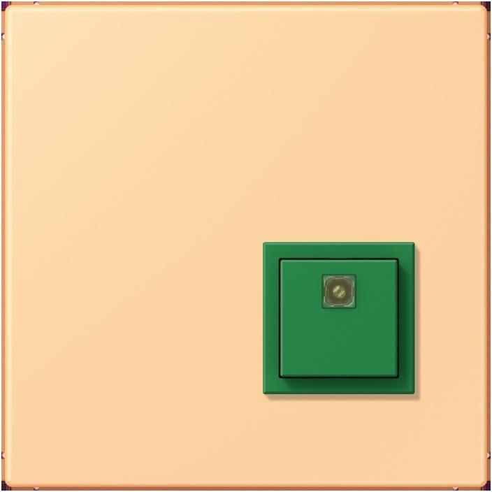 Actual product image JUNG Switch-off button