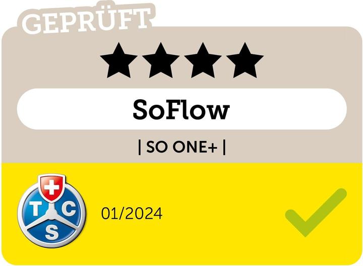 Actual product image SoFlow SO ONE+ (20 km/h, 40 km, 500 W)