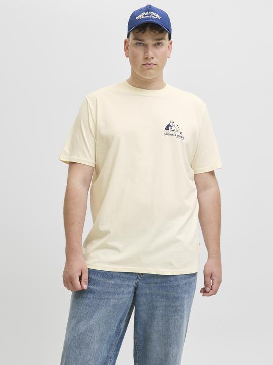 Immagine prodotto Jack & Jones Plus Size T-shirt T-shirt (6XL)