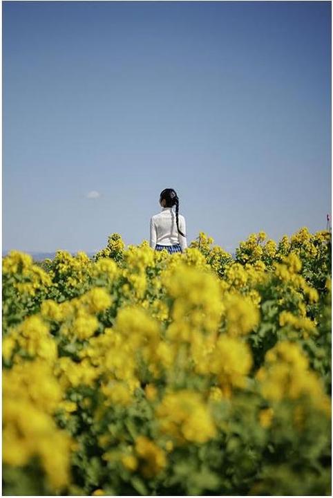 Produktbild Sigma 17-40mm F1,8 DC | Art (Canon RF) (Canon RF, APS-C / DX)