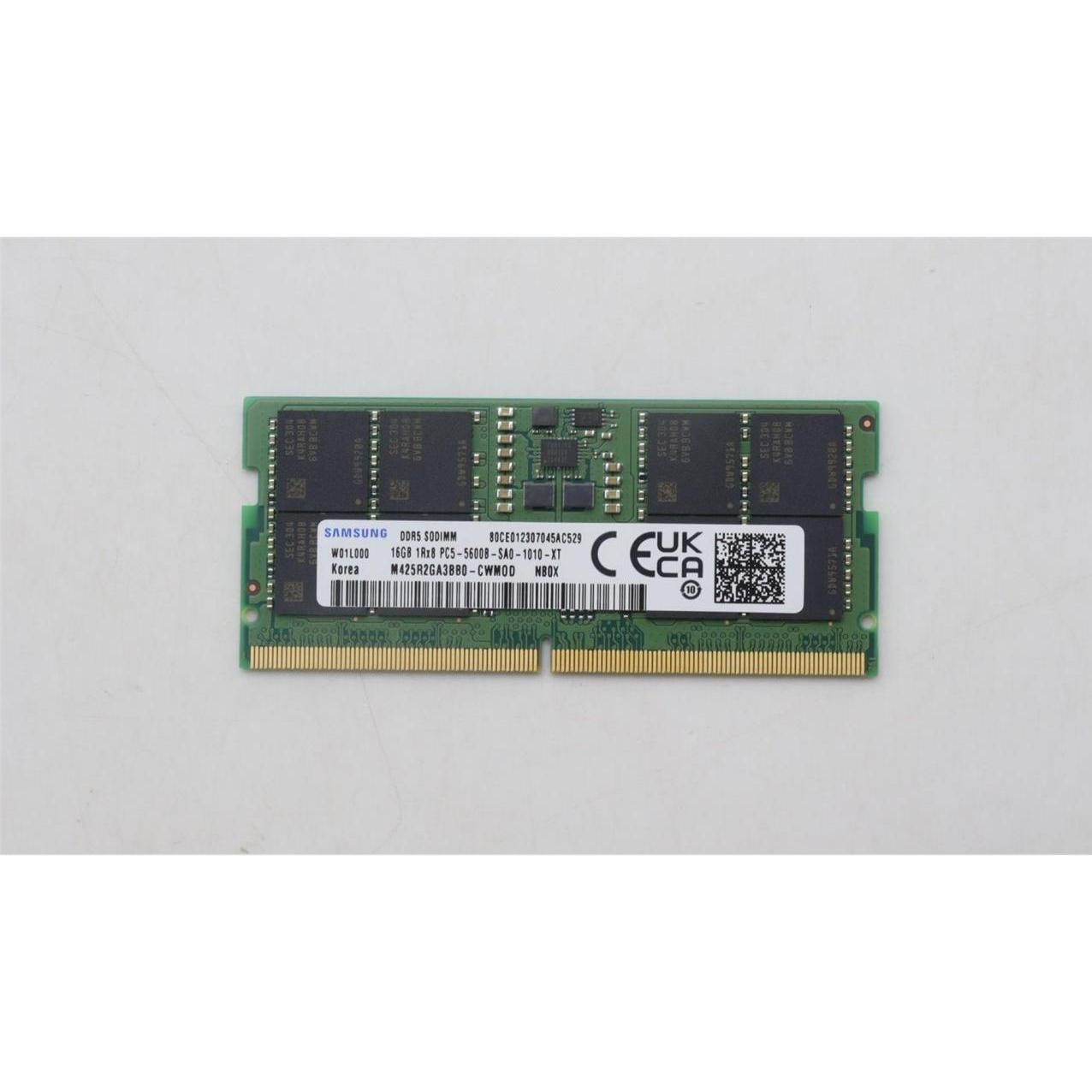 Lenovo Memory (5600 MHz, DDR5-RAM, DIMM), RAM