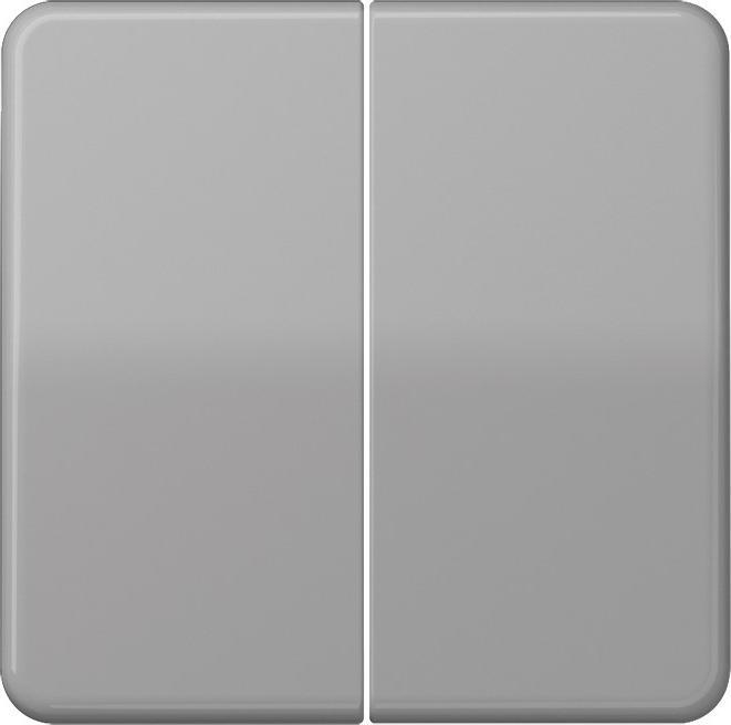 Image du produit JUNG CD595GR Bascule de série