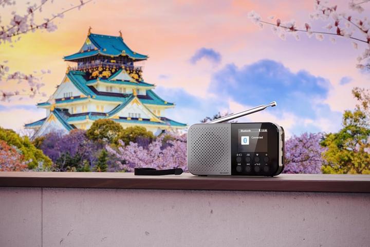 Immagine prodotto Sharp DR-520 (DAB, FM, Bluetooth)