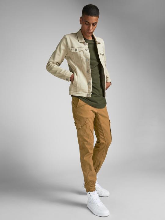 Actual product image Jack & Jones PAUL FLAKE AKM 542 Cargo Trousers (29)