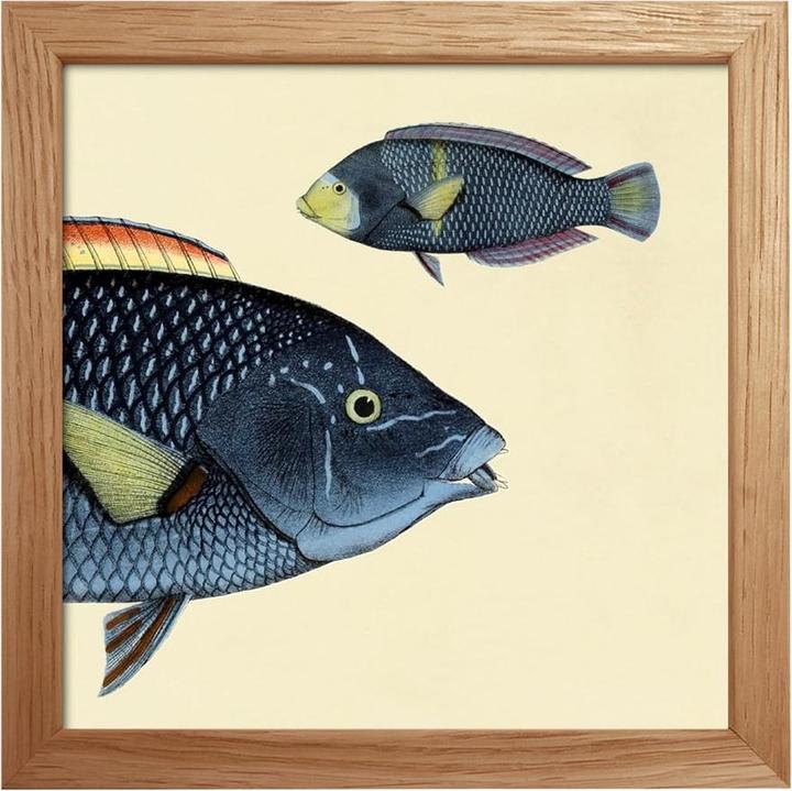 pfister Botanical (15 x 21 cm)