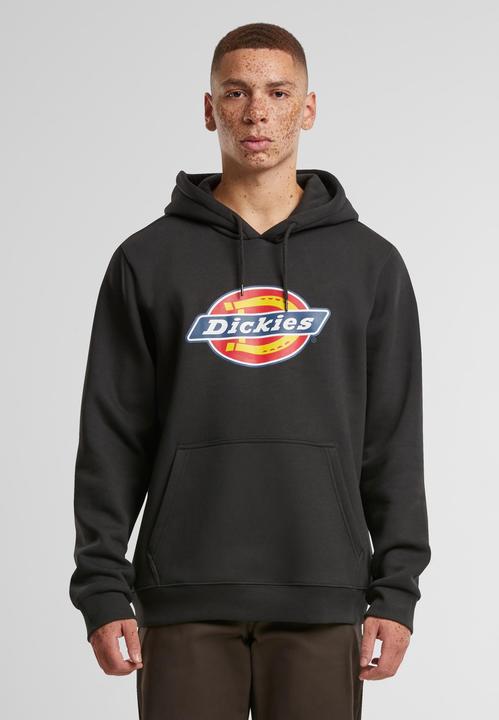 Actual product image Dickies Icon Logo Hoody - 125359 (XXL)