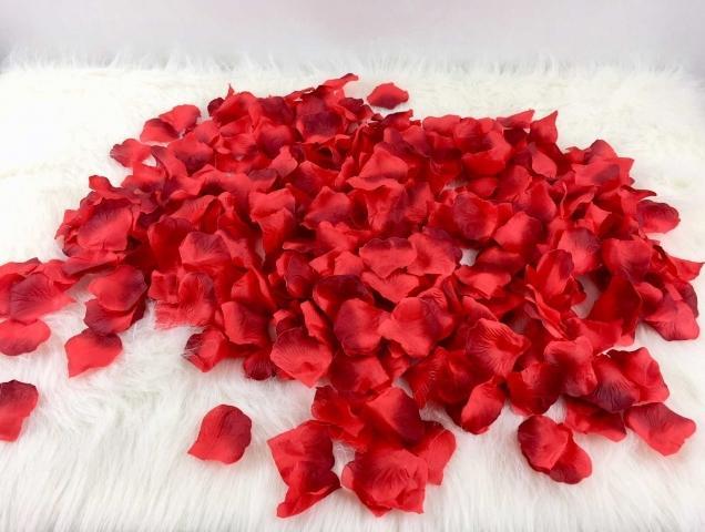 Image du produit Partydeco Roses à bord sombre (500 pcs)