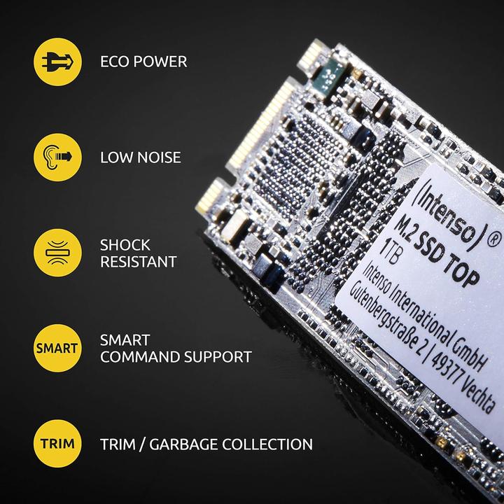 Productafbeelding Intenso Topprestaties (1000 GB, M.2 2280)