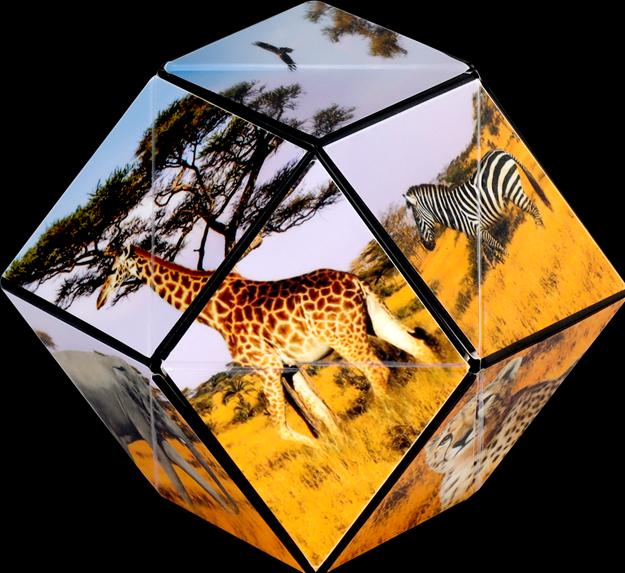 Produktbild Shashibo Savanna