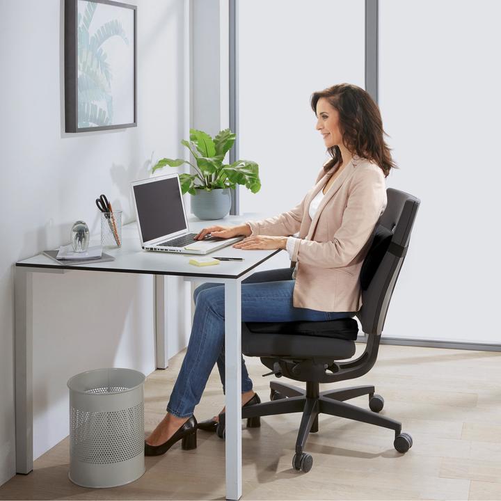 Image du produit Erwin Müller Keilkissen (Litière)