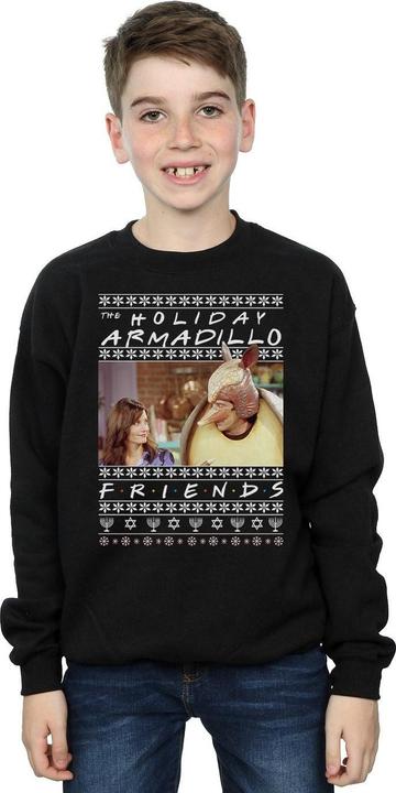 Image du produit Friends - Sweat FAIR ISLE HOLIDAY ARMADILLO - Garçon (128)