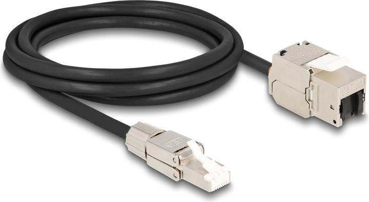 Immagine prodotto Delock Cavo RJ45 collegabile in campo (S/FTP, CAT6a, 2 m)