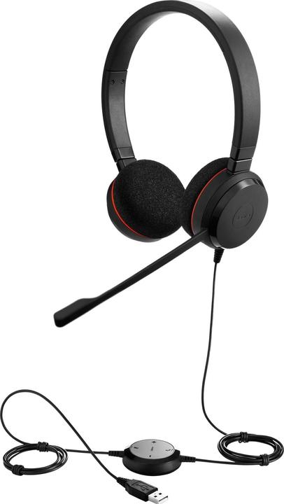 Actual product image Jabra Evolve 20 (Cable, USB-A)