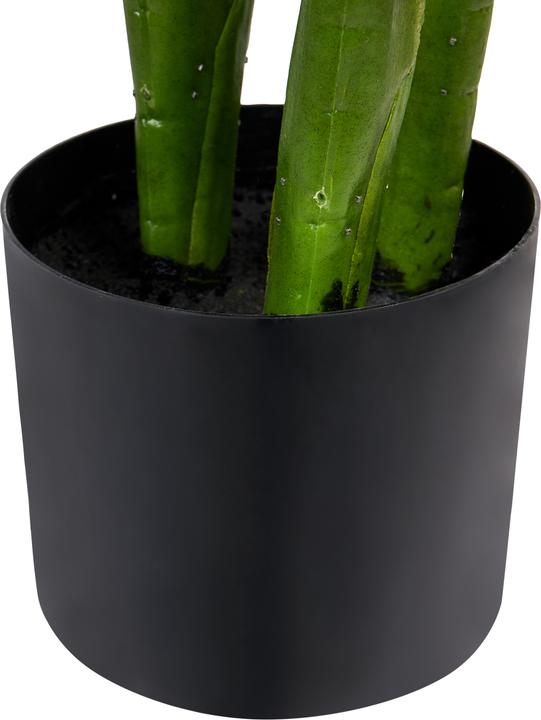 Produktbild Beliani Anthurium (95 cm)