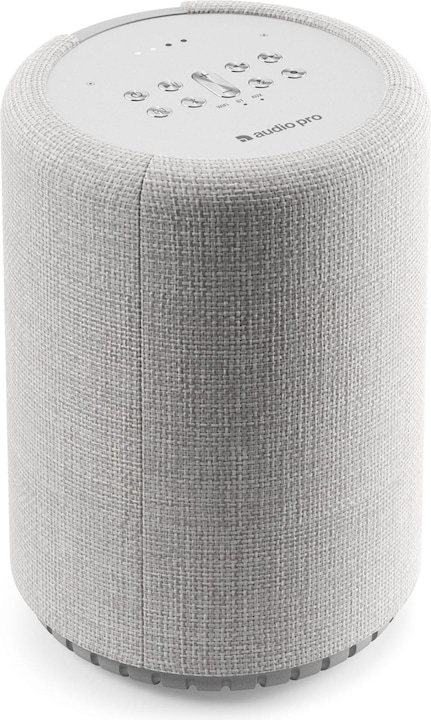 Audio Pro G10 - Speaker (Bluetooth, WLAN)