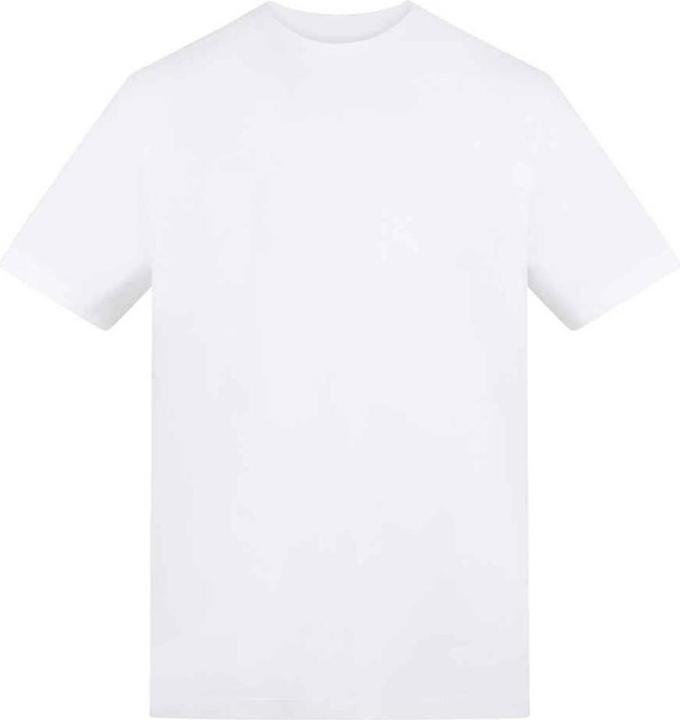 Bianco artico