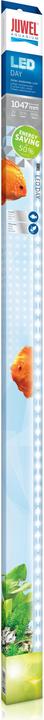 Juwel Aquarium Giorno del LED (LED, 29 W)