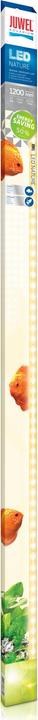Image du produit Juwel Aquarium LED Nature (LED, 31 W)