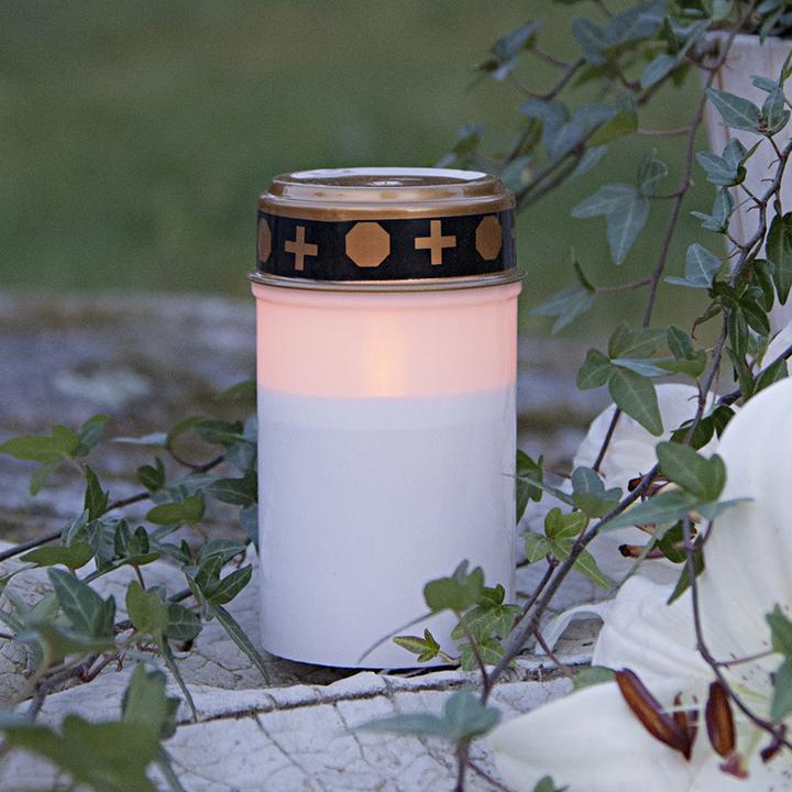 Immagine prodotto Star Trading Sereno (1 x)