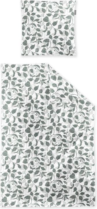 Irisette Edel-Feinbiber Bettwäsche Koala salbei 8588 (135x200 cm, 80x80 cm)