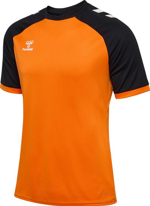 Tiger, Schwarz, Orange