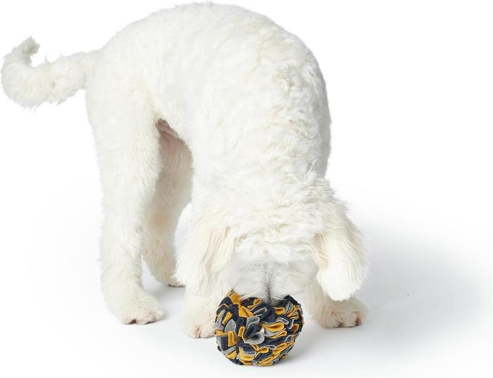 Immagine prodotto Hunter Sniffing ball Eiby (Palla giocattolo per cani)