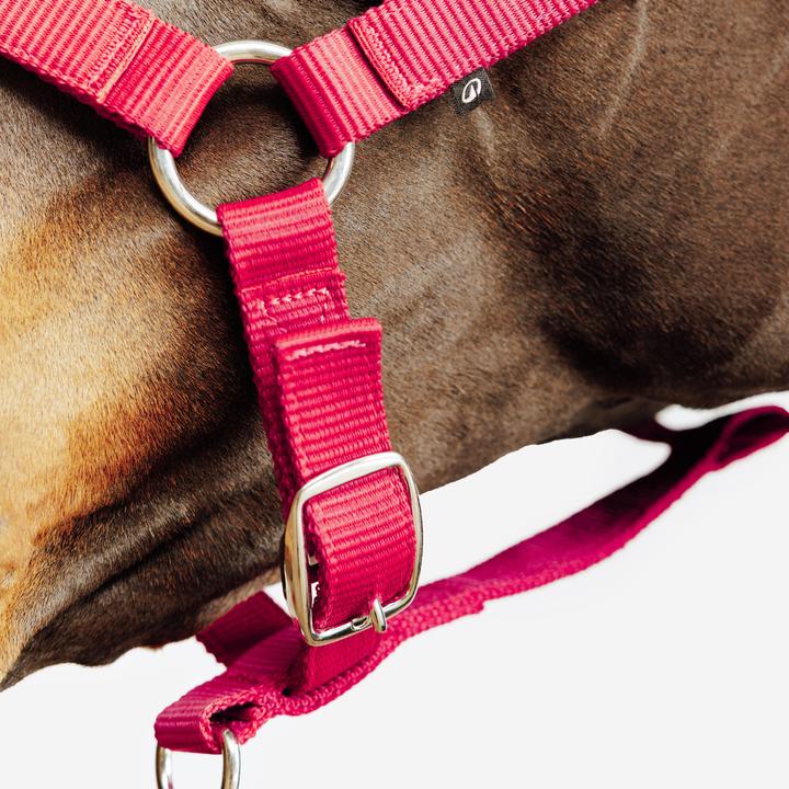 Produktbild Fouganza Halfter Schooling rot