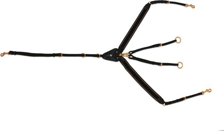 Produktbild HFI Master Bricole Reiten Prestige