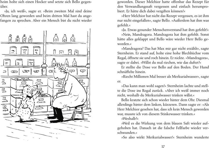 Produktbild Wiedersehen mit Herrn Bello (Deutsch, Paul Maar, 2012)