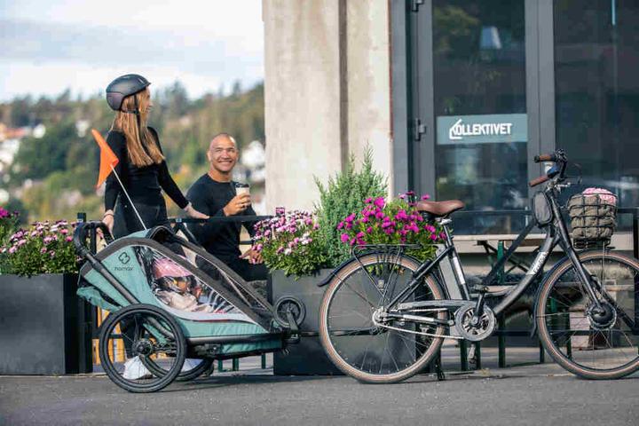 Actual product image hamax Cocoon One