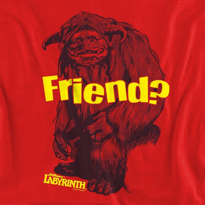 Produktbild Friend Sweatshirt (L)