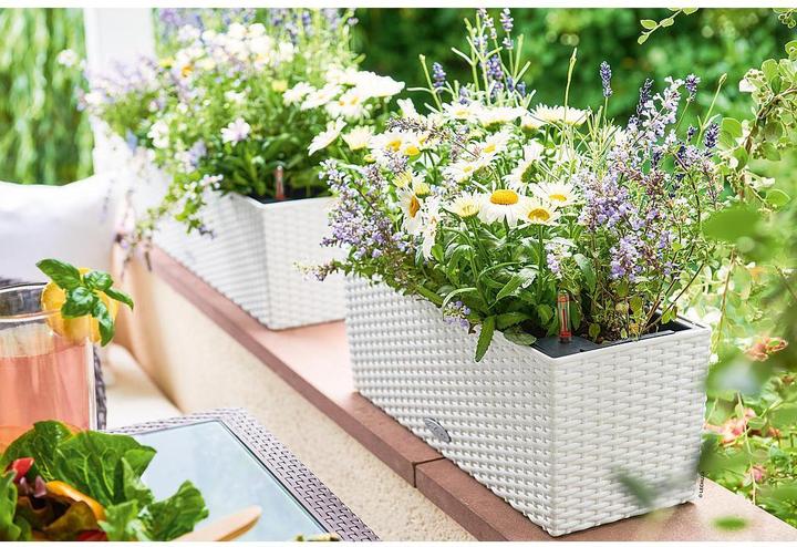 Actual product image Lechuza Flowerpot Balconera Cottage 50 (50 x 19 x 19 cm)