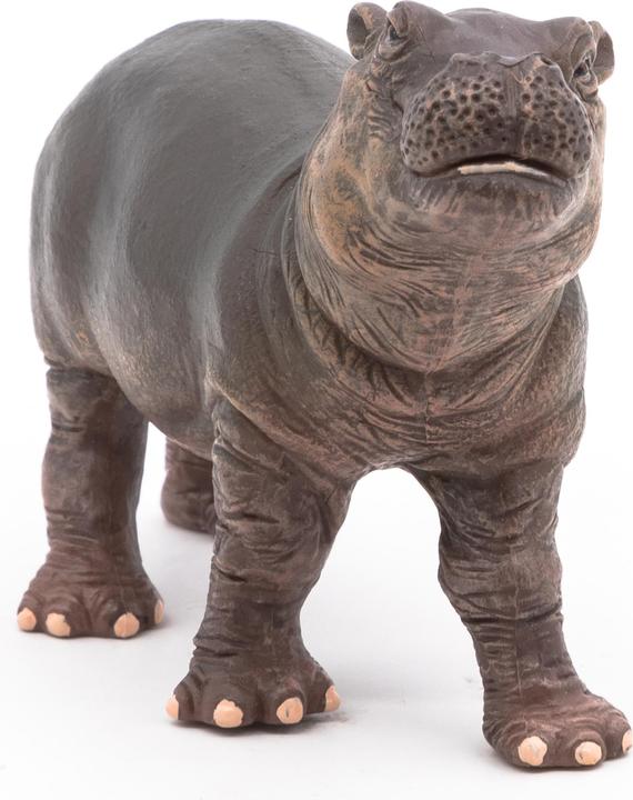 Image du produit Papo Jeune hippopotame