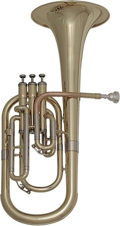 Actual product image Roy Benson Eb Althorn MODAH301 lacquered with case (Bugle)