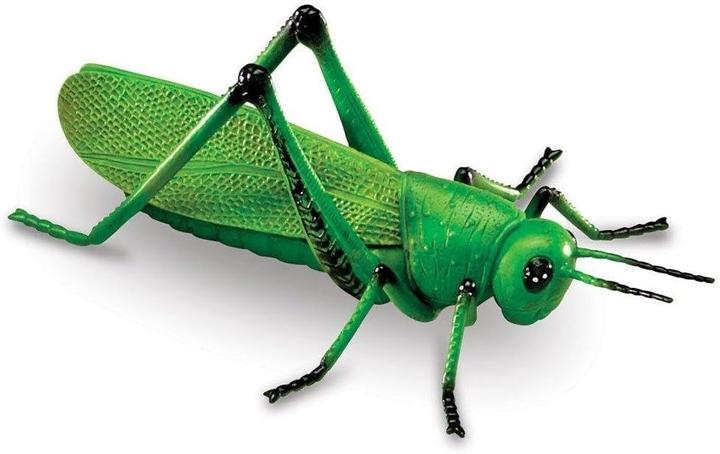 Produktbild Learning Resources Grosse Insekten Lernspielzeug-Set
