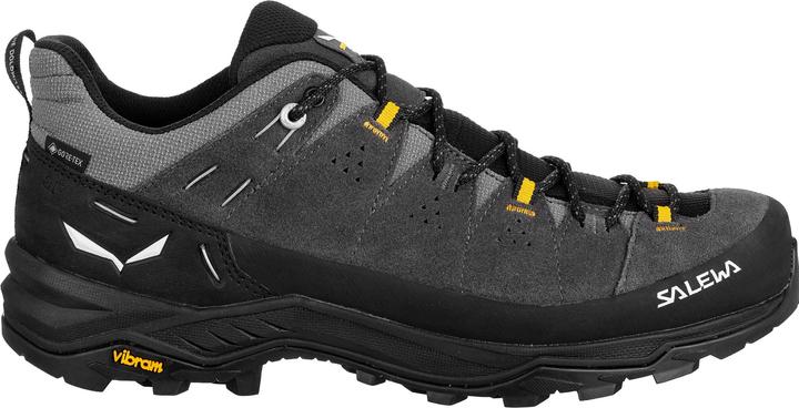 Produktbild Salewa Alp Trainer 2 GTX (39)