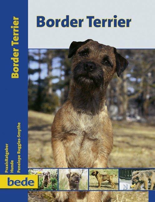 Produktbild PraxisRatgeber Border Terrier (Deutsch, Penelope Ruggles-Smythe, 2009)