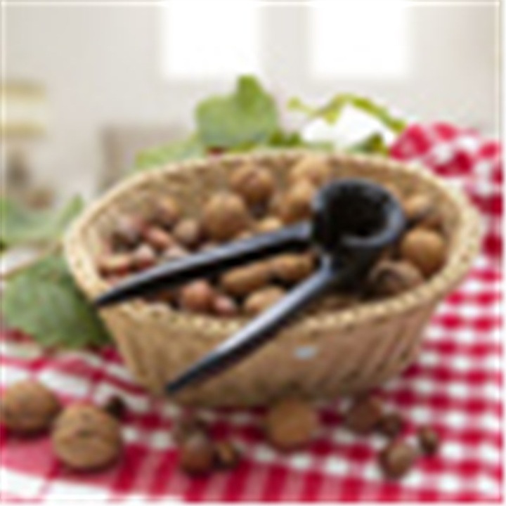 Actual product image Westmark Nut professional