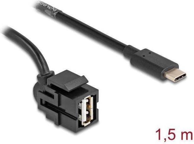 Actual product image Delock Keystone module USB 2.0 A socket to USB Type-C plug 250° (1.50 m, USB 2.0)