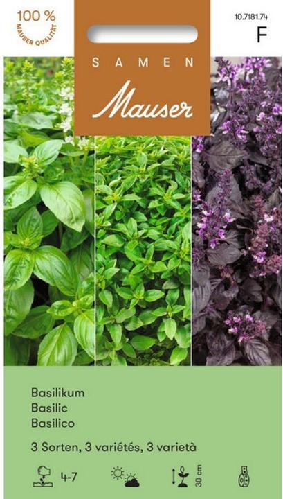 Produktbild Samen Mauser Basilikum 3 Sorten (Kräutersamen)