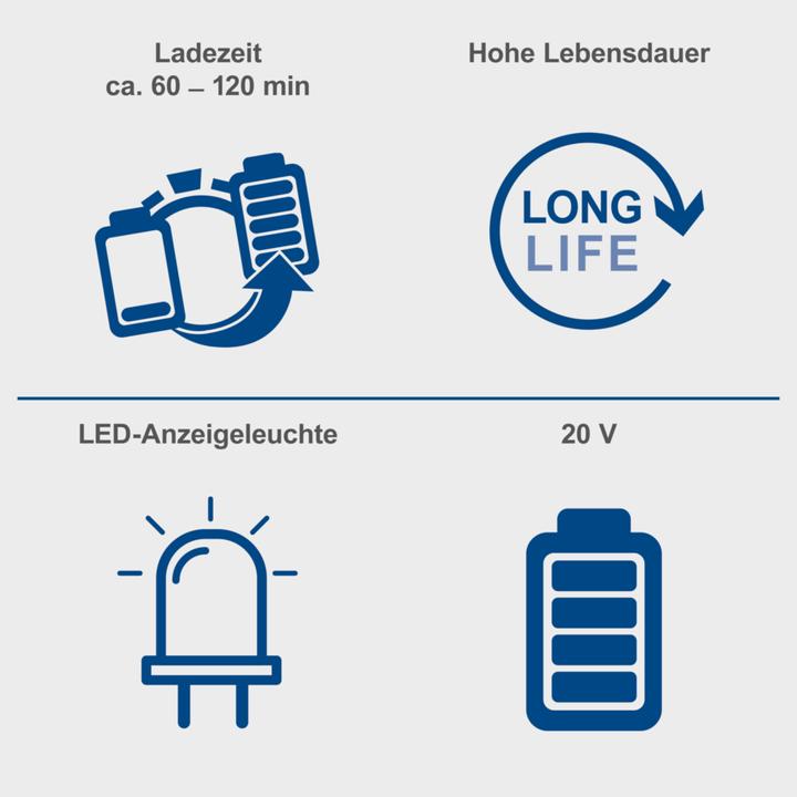 Image du produit Scheppach Batterie SBP4.0 (20 V)