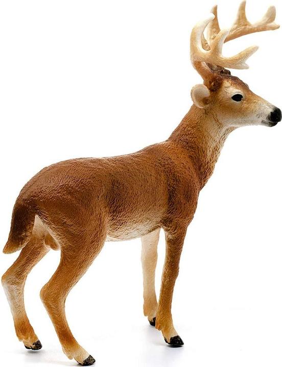 Image du produit Schleich Cerf de Virginie